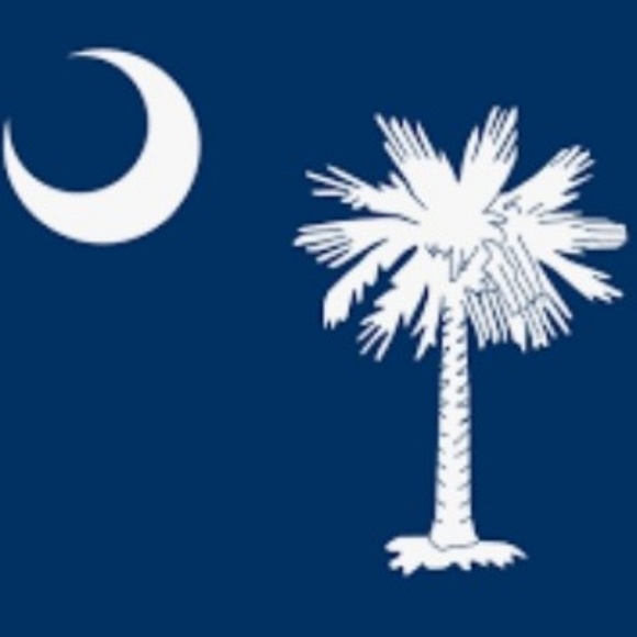 🧣Palmetto State (S.Carolina)🧣 D-Ring Logo Belt🧣 - Picture 2 of 2